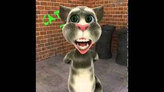 Talking Tom Gets A Beating