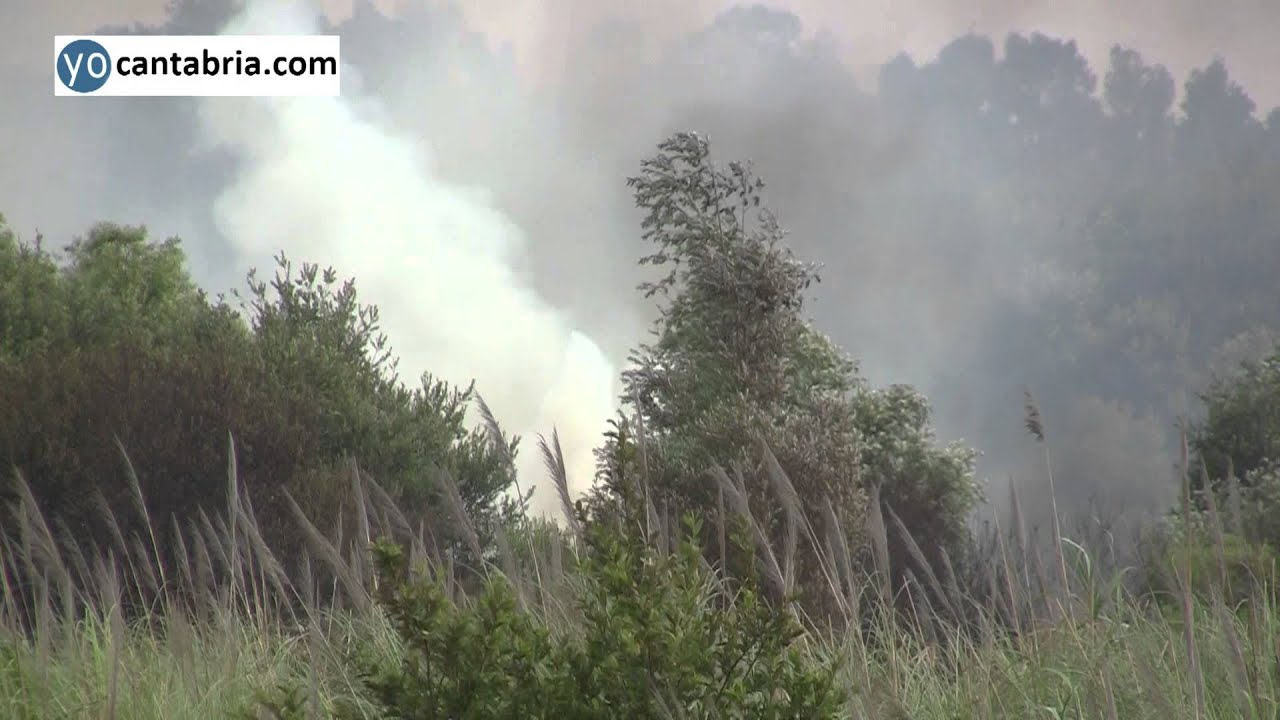 Incendio Marismas Alday 24 junio 2014