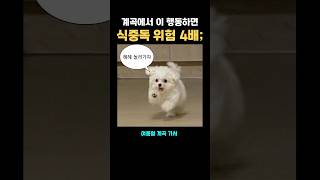 계곡에서 이 행동하면 식중독 4배 #계곡 #여름철 #정보 #꿀팁 #수박 #식중독