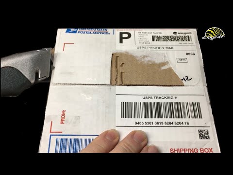 Unboxing from Invertebratedude.com !