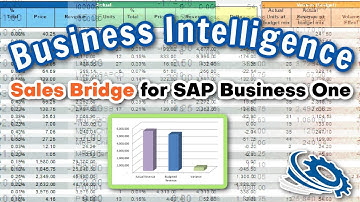 Business Intelligence | Price, Volume, Mix (Sales Bridge) for SAP Business One