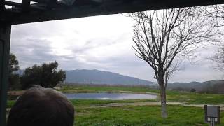 Catching your shells