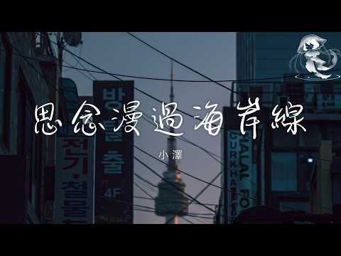小澤 - 思念漫過海岸線「如果你能看見 我心裡的孤單 能不能抱緊我 再回一次從前」【動態歌詞】♪