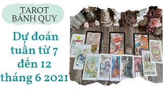 Dự báo tổng quan tuần từ 7 đến 12 tháng 6 2021 - Chọn 1 tụ bài từ Tarot bánh quy