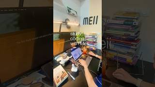 Study, coding #study #họctiếnganhmỗingày #parrotos #motivation #studyingwithmeii