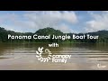 Panama Canal Jungle Boat Tour with the Canopy Family