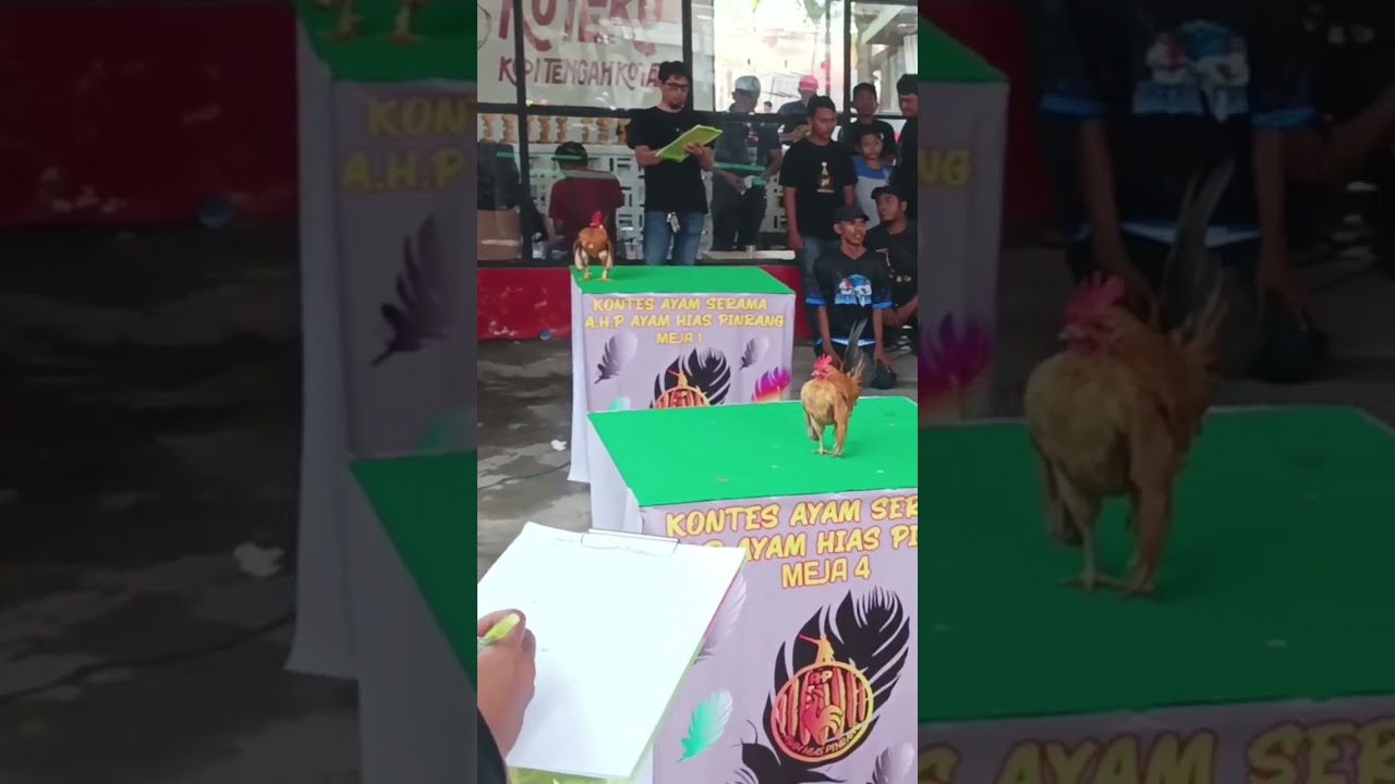 Kontes Ayam Serama AHP CUP