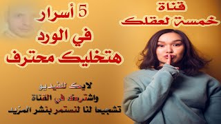 أسرار لاحتراف الورد word