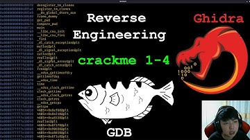 🐲 Reverse Engineering - crackme 1 - 4 w/ GDB