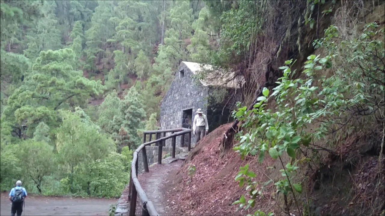 Teneriffa - Wanderung zu den Orgelpfeifen von Aguamansa