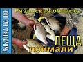 Рыбалка на Оке, ФИДЕР, ЛЕЩЕЙ ПОЙМАЛИ! Село Половское, июнь 2019г.