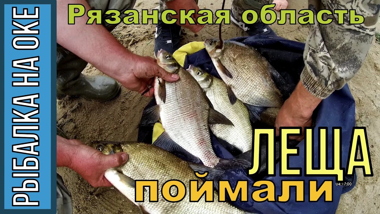 Ибердус рыбалка ока