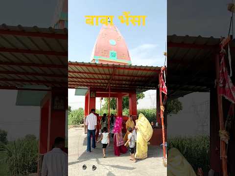 बाबा भैंसा मंदिर #gufavalebaba #sarurpur #viral
