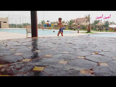 أجمل الأغاني المختارة لشيرين عبد الوهاب إحساس حب وذكريات لا ت نسى