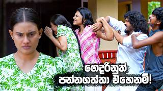 ගෙදරිනුත් පන්නගත්තා එහෙනම්! | Kolamba Kattiya