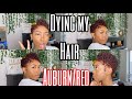 Dying my hair (twa) auburn/red for the first time ever at home with No bleach!