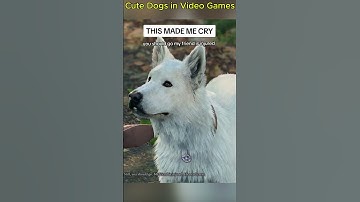 Cute Dogs in Video Games #funny #dog #shorts #videogames
