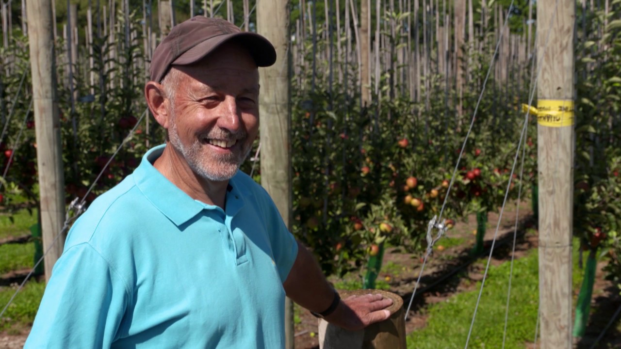 Future Orchard Systems