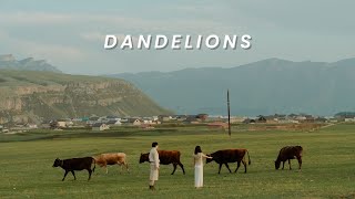 [VIETSUB | LYRICS] Dandelions - Ruth B