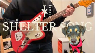Shelter Song // Iceage (Guitar Cover) ft. My Dog