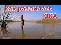 Куда разлилась ОКА. Заливные поля и водоёмы.