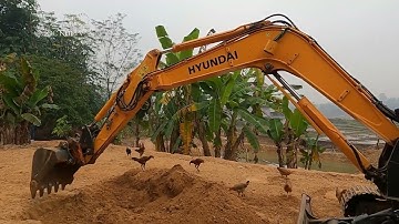Hướng Dẫn Cách Lái Máy Xúc Bánh Xích | operator excavators | loc nhi tv