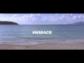 SHABACO - Ms.TOKYO (Lyric Video)