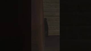 Ghost from rp_downtown_v2 | GMOD Horror (2nd person) #gmod #cursed #horror