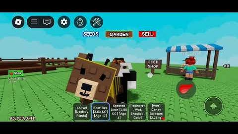 GROW A GARDEN CANDY BLOSSOM DUPLICATE RACOON DUPLICATE #roblox #script #exploit #gaming