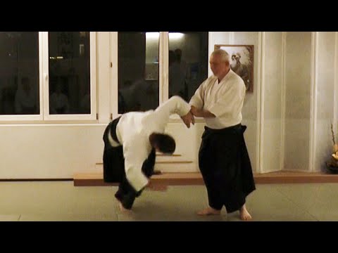 Stéphane Benedetti - Aikido Seminar in Zurich, 2014 - Part 1 of 4: Body Rotation & Footwork