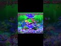 ギンパラ3甘 S228回 本編→…(スマホは右上)説明からどうぞ。