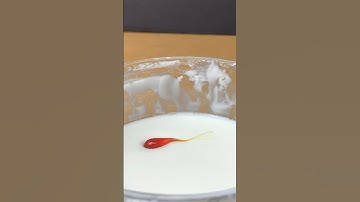 Rupert’s Drop in Ooblek! (Non Newtonian Fluid)