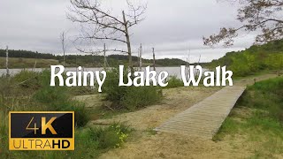 Lake walk on a rainy day at National Park Hoge Kempen Belgium | Rain Sounds screenshot 1