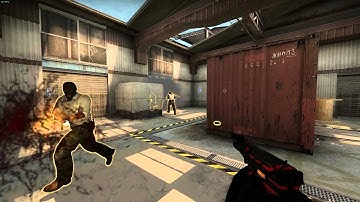 CSGO Getting team killed by BOT Lester