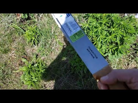 240501 Альшанское кладбище Рублю ветки дешёвый тесак мачете бразильский ...