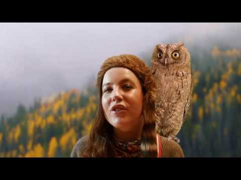 Crazy Girl up North (Official Music Video)