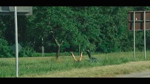 映画『バウンティー・ハンター』予告編