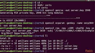 Hands-On Microservices with Go : HTTPS and TLS | packtpub.com