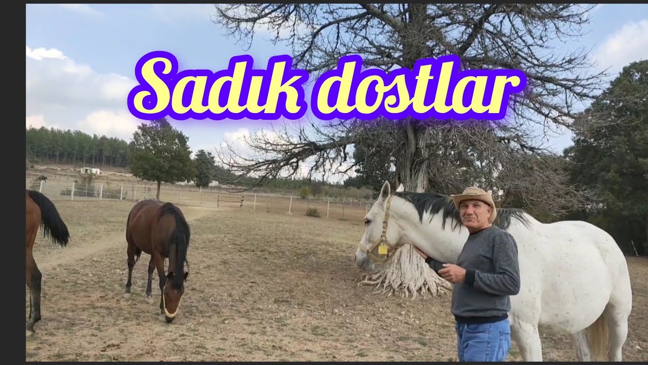 AT ÇİFTLİĞİ-EN SADIK DOSTLAR-YAYLANIN ATLARI-ELAZIĞ USULÜ MAYALI VE BÖREK