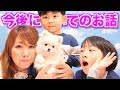 太陽チャンネルの今後について