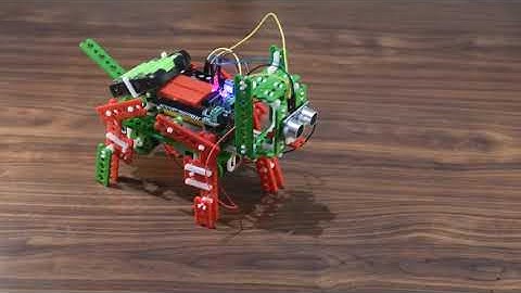 Robot Dog