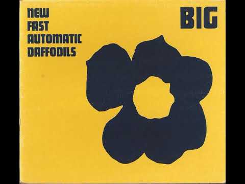 New Fast Automatic Daffodils - Big - YouTube