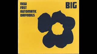 New Fast Automatic Daffodils - Big - YouTube