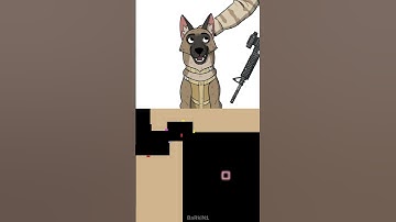 Pixie And Brutus 🐕 BaRkiN1 Bouncing Square