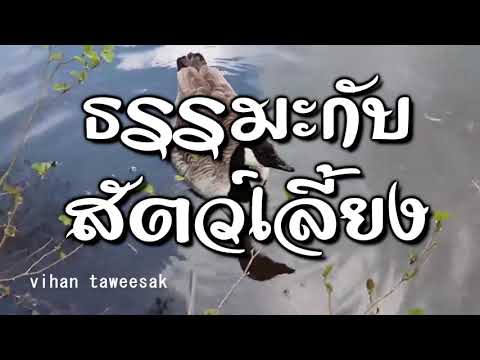 อมตะนิทาน เรื่อง ธรรมะกับสัตว์เลี้ยง