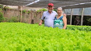Casal muda de vida com horta hidropônica e apoio do Senar/MS