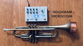 Hologram Electronics Microcosm + Trumpet