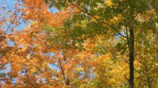Fall Sunshine Sky - feat. Rites of Passage by African Dawn