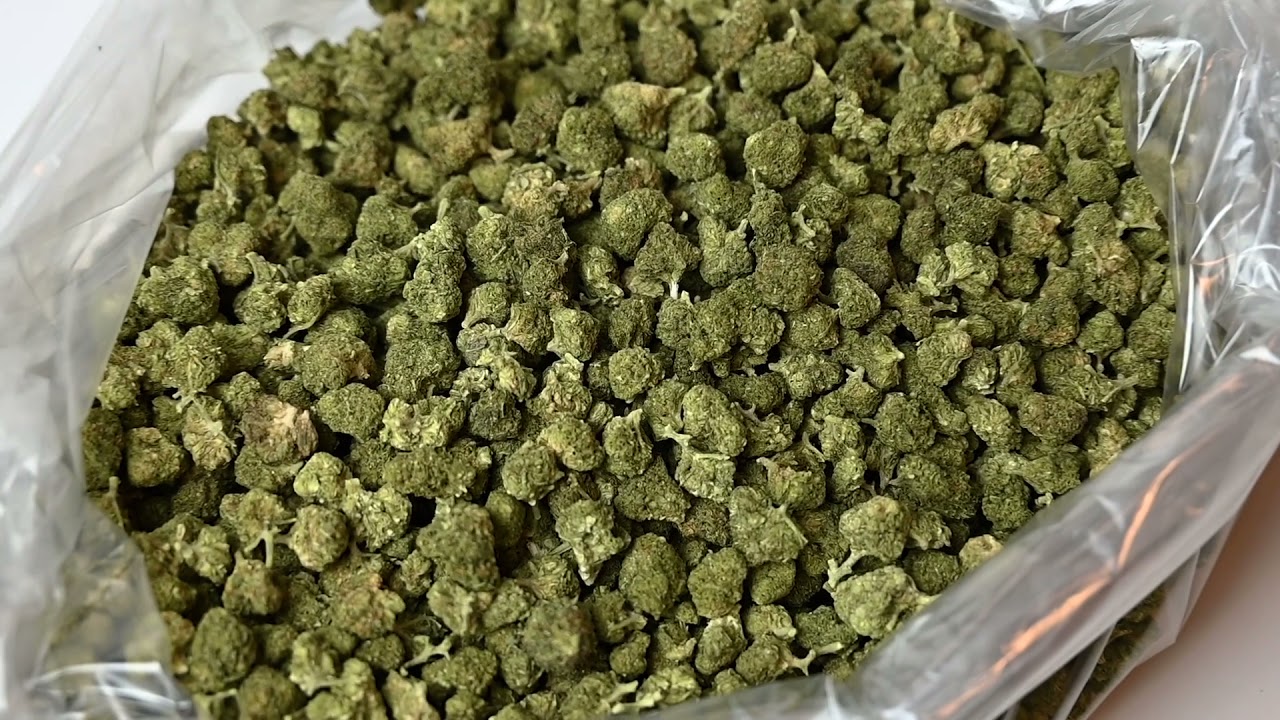 Freeze dried Bubba Kush Premium Hemp Flower Smalls