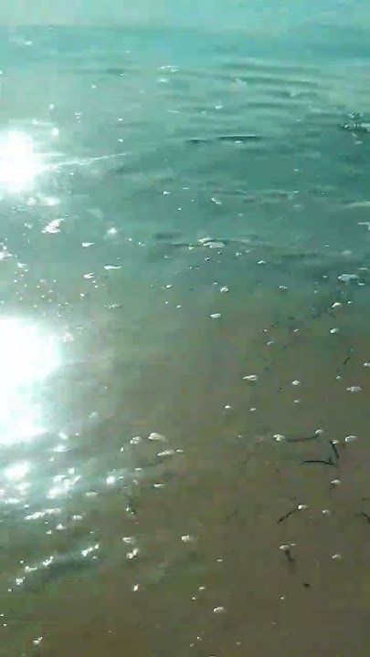 Video footage of tsunami 2025
